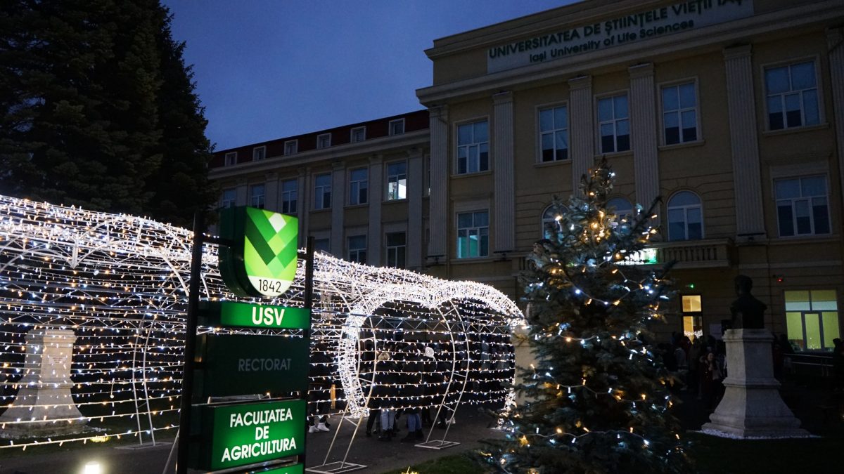 Feerie de sărbători la USVIași. Cel mai frumos iluminat nocturn a fost inaugurat în municipiu – GALERIE FOTO