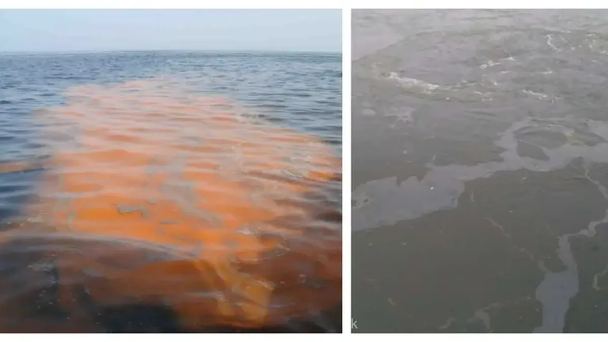 Alertă de poluare cu petrol pe Dunăre! Apele sunt afectate pe o lungime de minim 6 kilometri