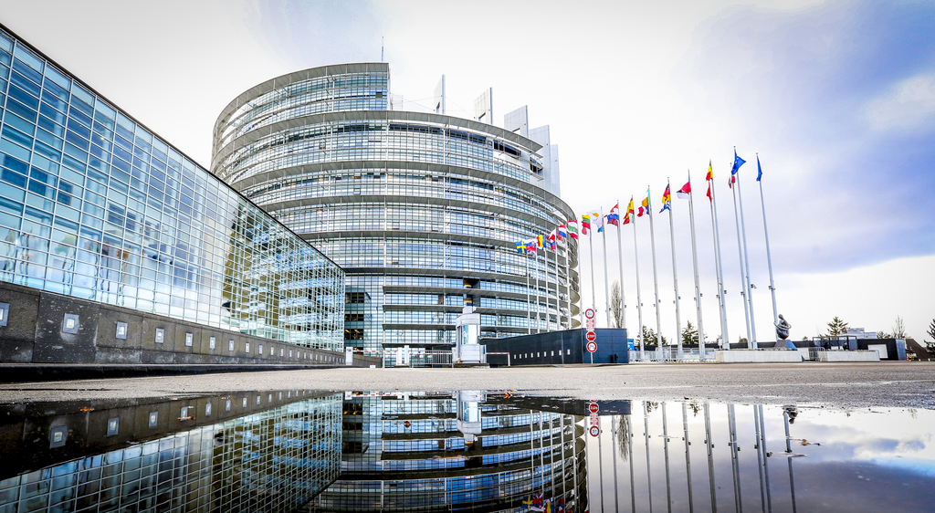 Produsele provenite din defrişări vor fi interzise în Uniunea Europeană