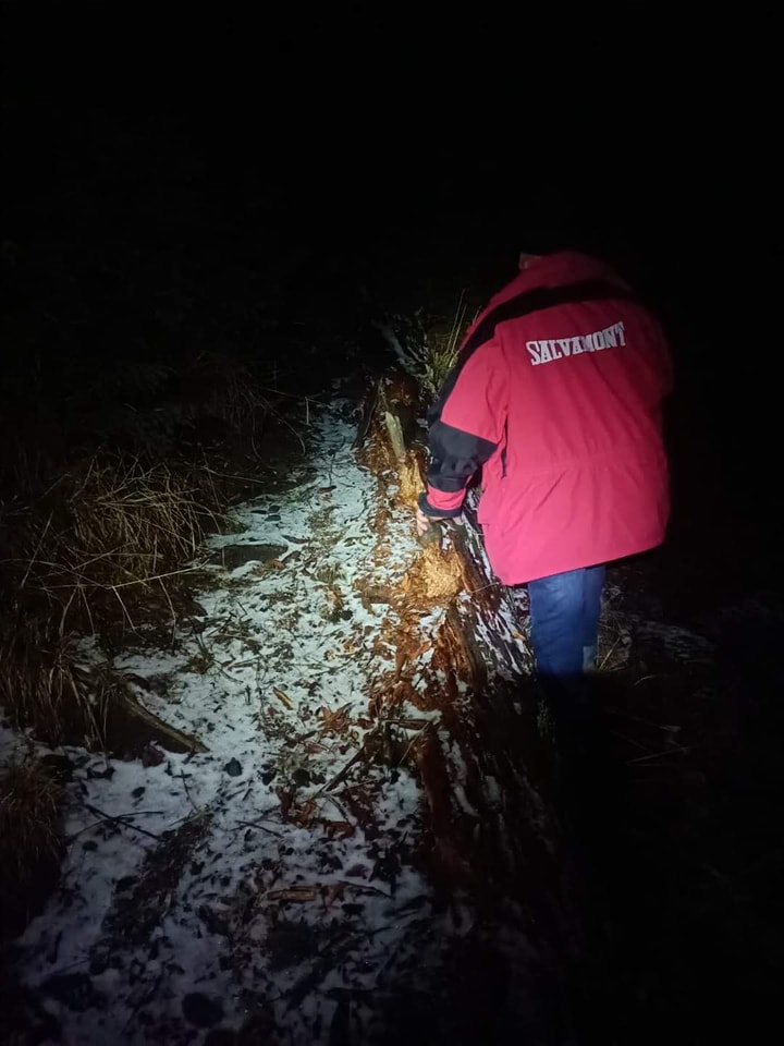 Salvamontiştii din Bran caută un turist care s-a rătăcit pe munte