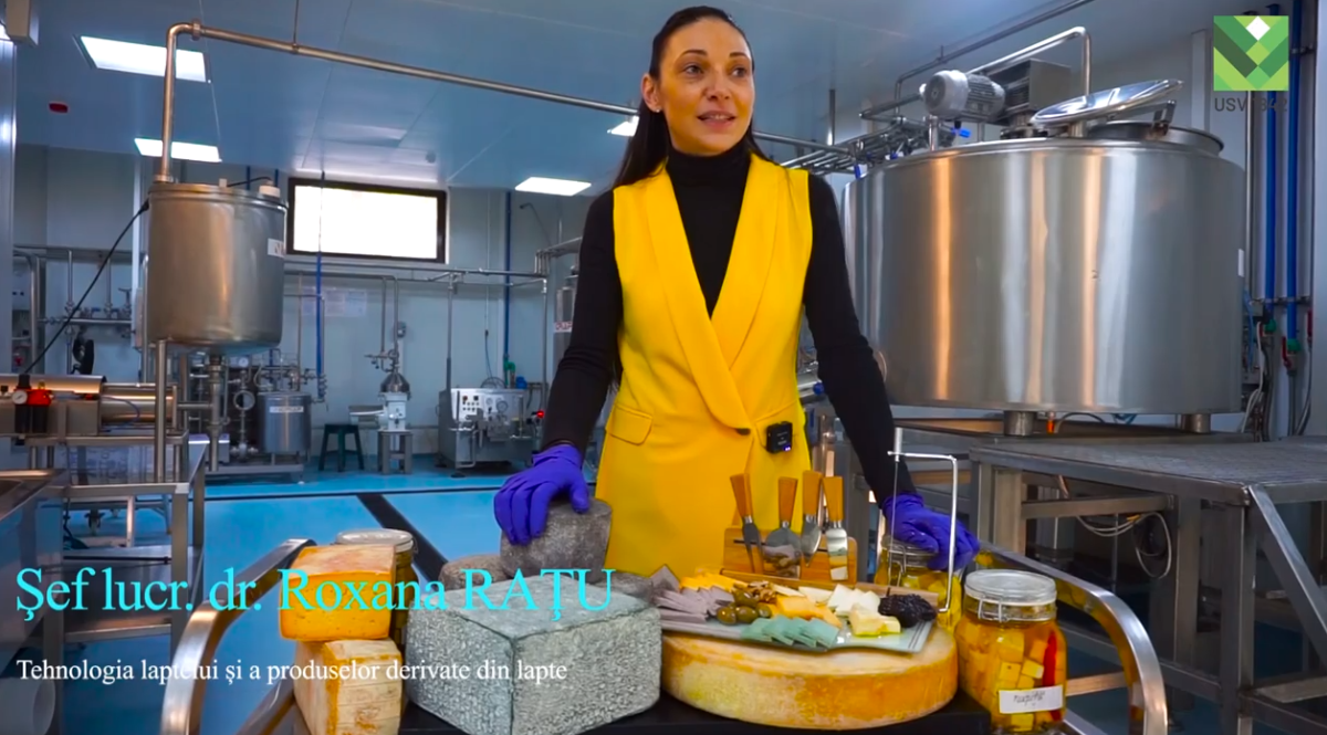 Testări inedite în mini făbricuţa de lactate a USV Iaşi. Cum a fost reinterpretată brânza Cheddar – VIDEO