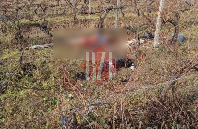 Imagini de coșmar! O femeie a fost devorată de câini la Vișani. Nu a apucat să ceară ajutor – EXCLUSIV