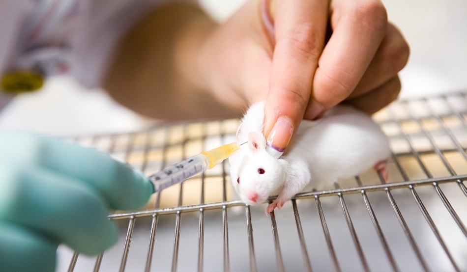 SUA elimină testarea obligatorie pe animale a medicamentelor