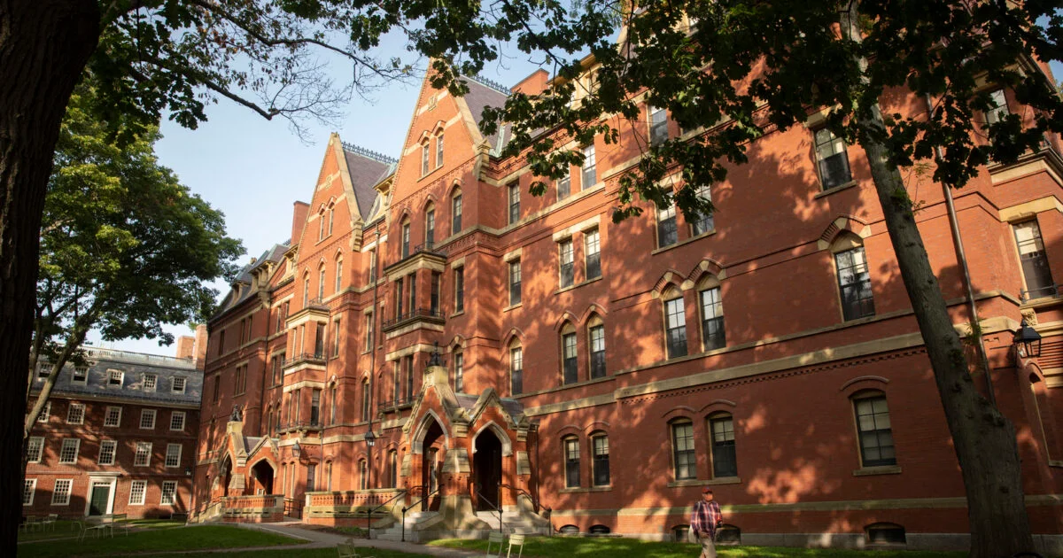 Specialiștii de la Harvard spun că economia României va exploda până în 2030