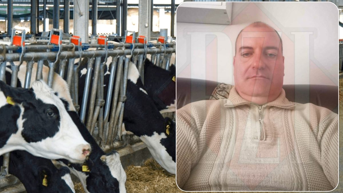 S-a întors în satul natal pentru a deschide o afacere după ani grei munciți în străinătate, însă regretă amarnic alegerea făcută. Tânăr din Iași: „Vine omul, investește atâția bani și totul e degeaba”
