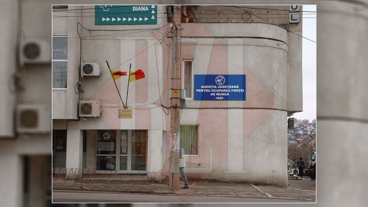 Ieșenii cu studii medii care își caută un loc de muncă au la dispoziție peste 300 de posturi. Cele mai multe oferte sunt în comerț și HoReCa