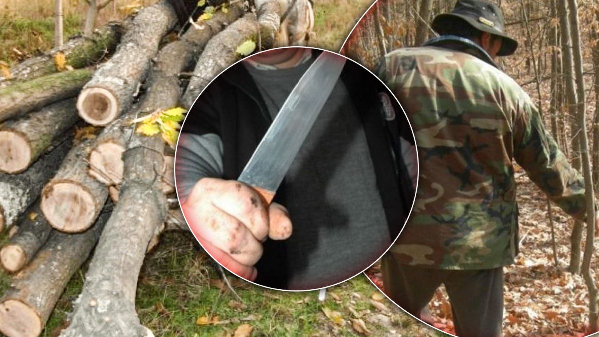 Un ieșean cu un cuțit în mână a amenințat cu moartea un pădurar din comuna Țibana. Ce pedeapsă a primit inculpatul – FOTO