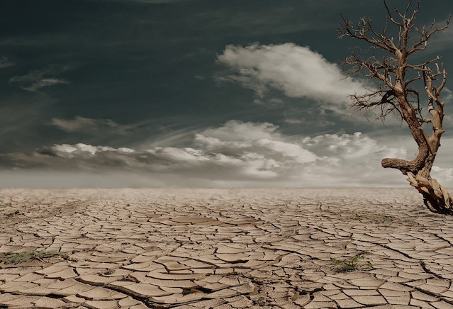 5 implicații practice ale schimbărilor climatice asupra vieții ieșenilor