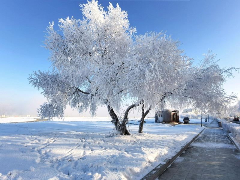 Record de temperatură la „Polul Nord” al Chinei. Cum se trăiește la -53 de grade Celsius în locul în care aerul îți îngheață în plămâni – GALERIE FOTO