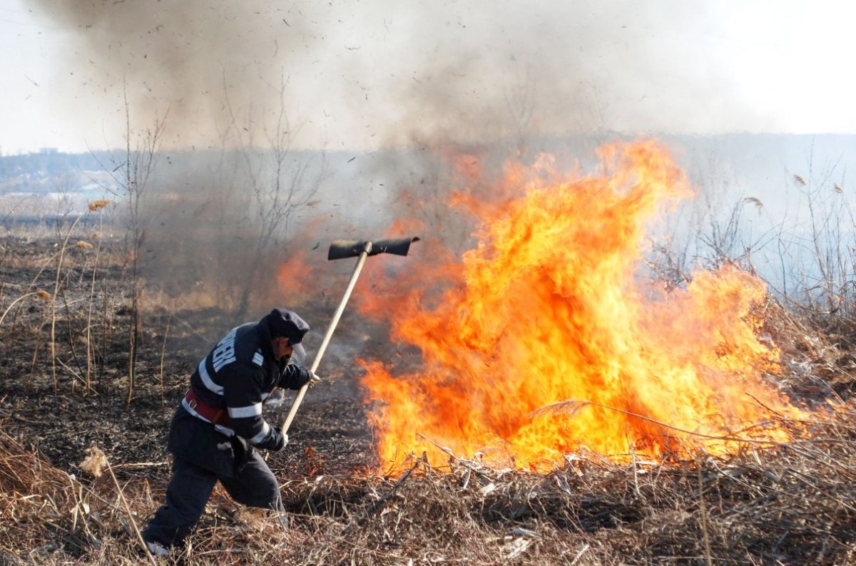 Incendiu de vegetaţie uscată în comuna Bălţaţi. Pompierii ieşeni intervin