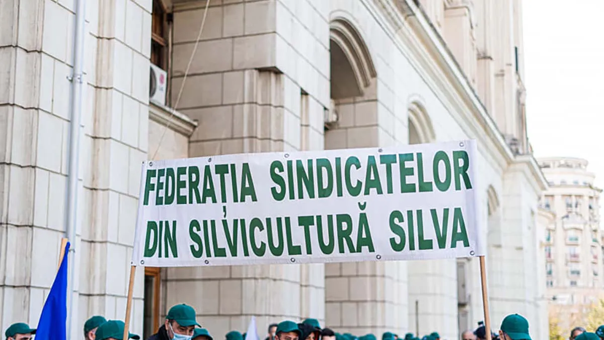 Protest în faţa Guvernului! Federaţia Sindicatelor din Silvicultură iese în stradă pentru a cere salvarea pădurilor