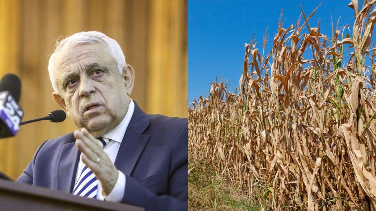 Sfat de la Petre Daea pentru cei care așteaptă bani de la Guvern: „Dacă ai sapa în mână, apucă-te și treci la prășit”