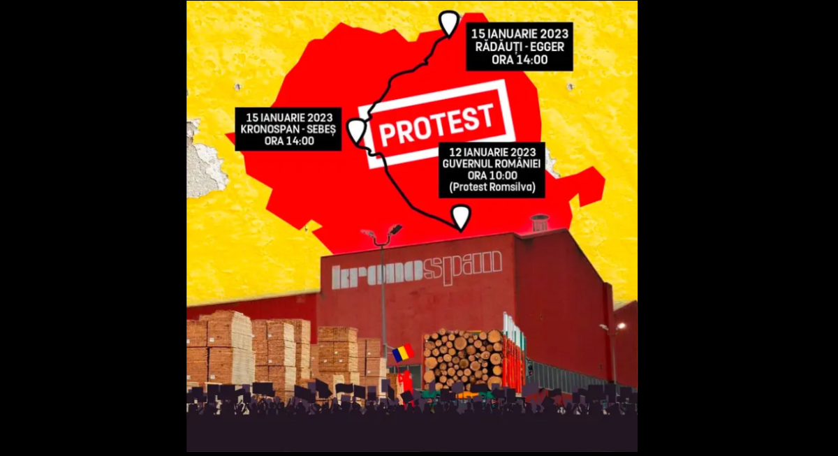 Alianța pentru Unirea Românilor (AUR): „Duminică protestăm în fața fabricilor austriece din industria lemnului din Sebeș și Rădăuți!”