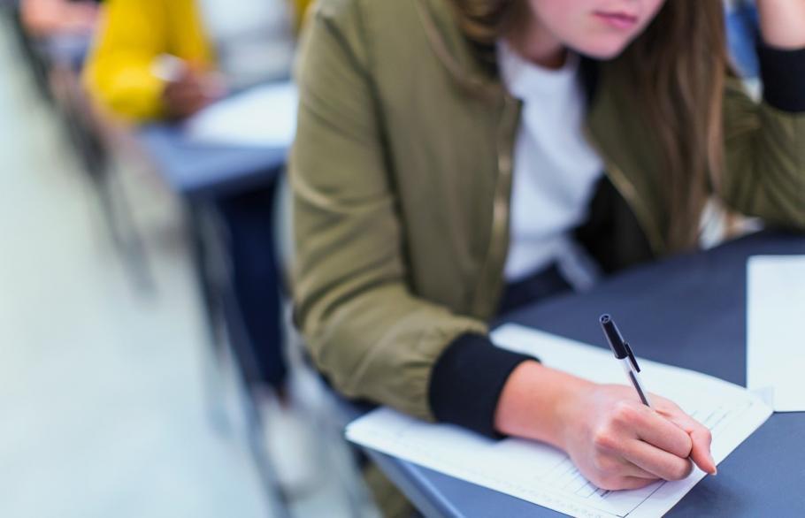 Simulare Evaluare Naţională 2023. Model de subiect la Limba şi Literatura Română pentru elevii din județul Botoșani