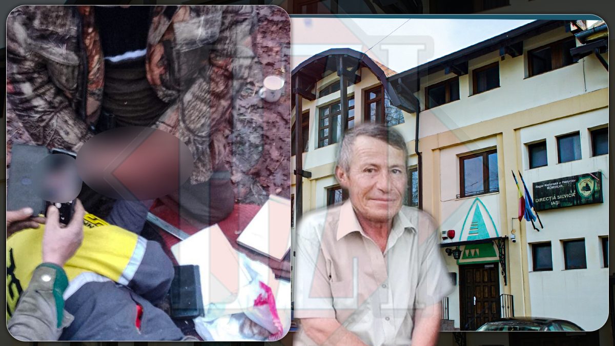 Film deocheat, special pentru adulți, „turnat” în pădure, la Roșcani. Un pădurar din Iași, actorul principal: „I-a pus-o în mână, restul filmau” – EXCLUSIV