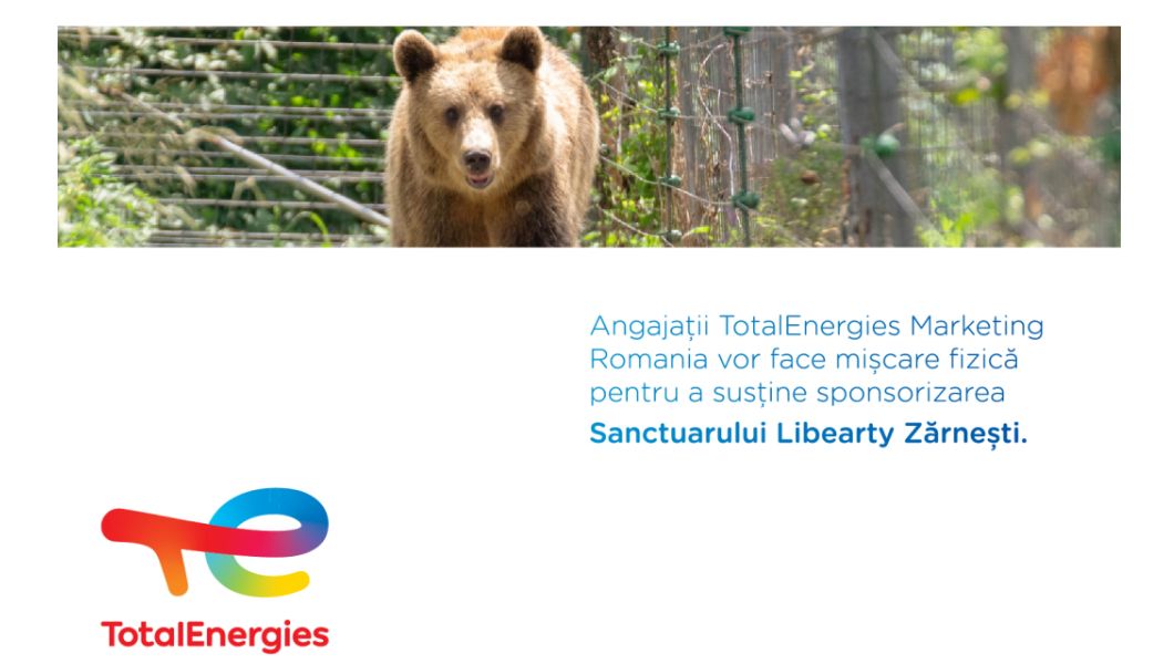 Angajații TotalEnergies Marketing Romania au acceptat Provocarea Celor Zece Milioane de Pași