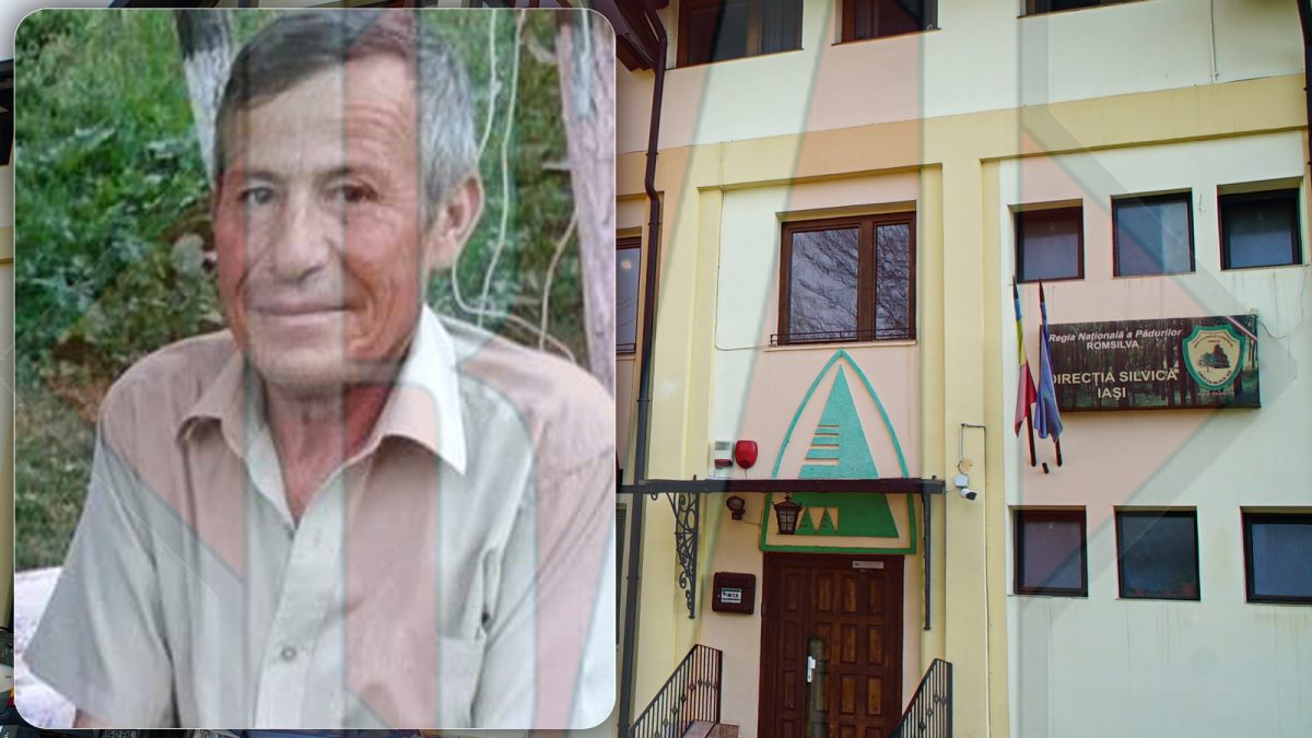 Pădurarul care s-a crezut actor de filme pentru adulți se pregătește de „marea premieră”. Șefii lui se întâlnesc pentru a-i analiza „performanțele”