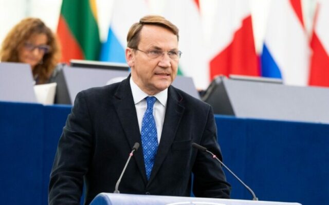Europarlamentar polonez, acuzații la adresa Germaniei care s-ar implica prea puțin în susținerea Ucrainei