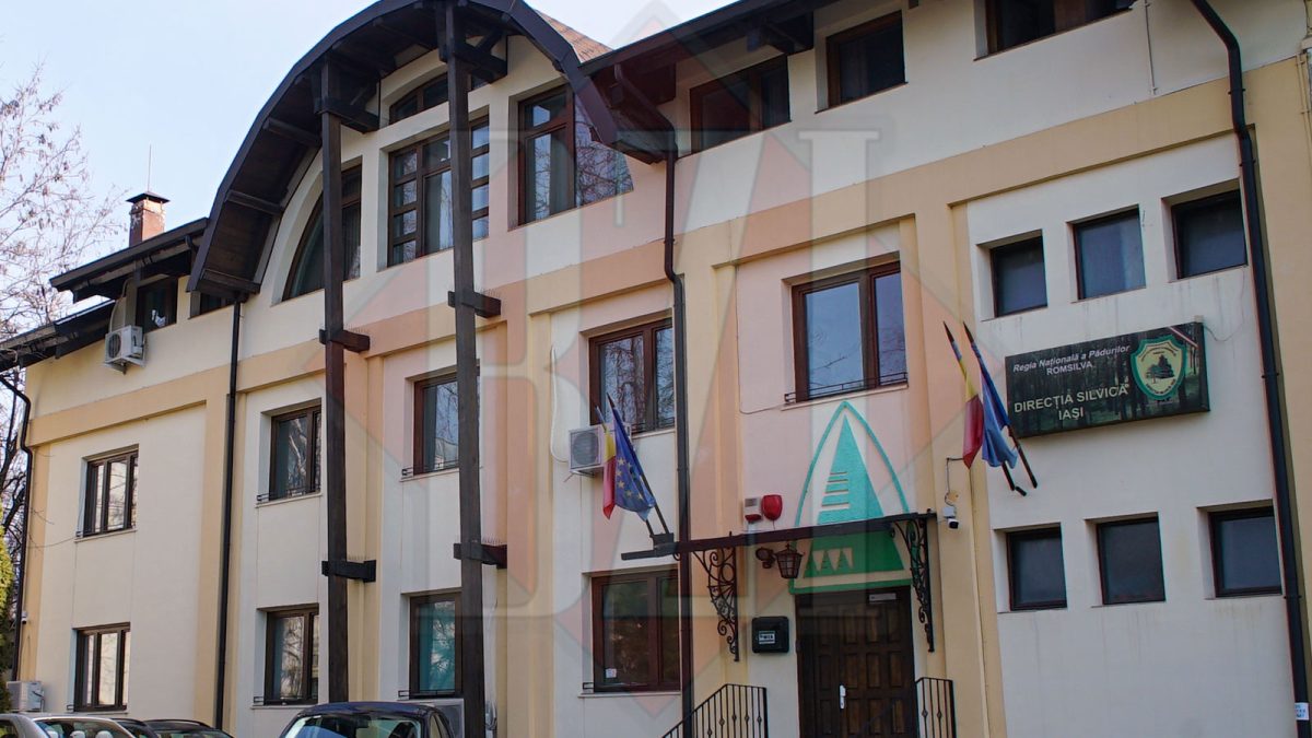 A scăzut numărul hoților de lemne din județul Iași. Direcția Silvică a aplicat amenzi în valoare de 5.000 de lei în luna ianuarie 2023