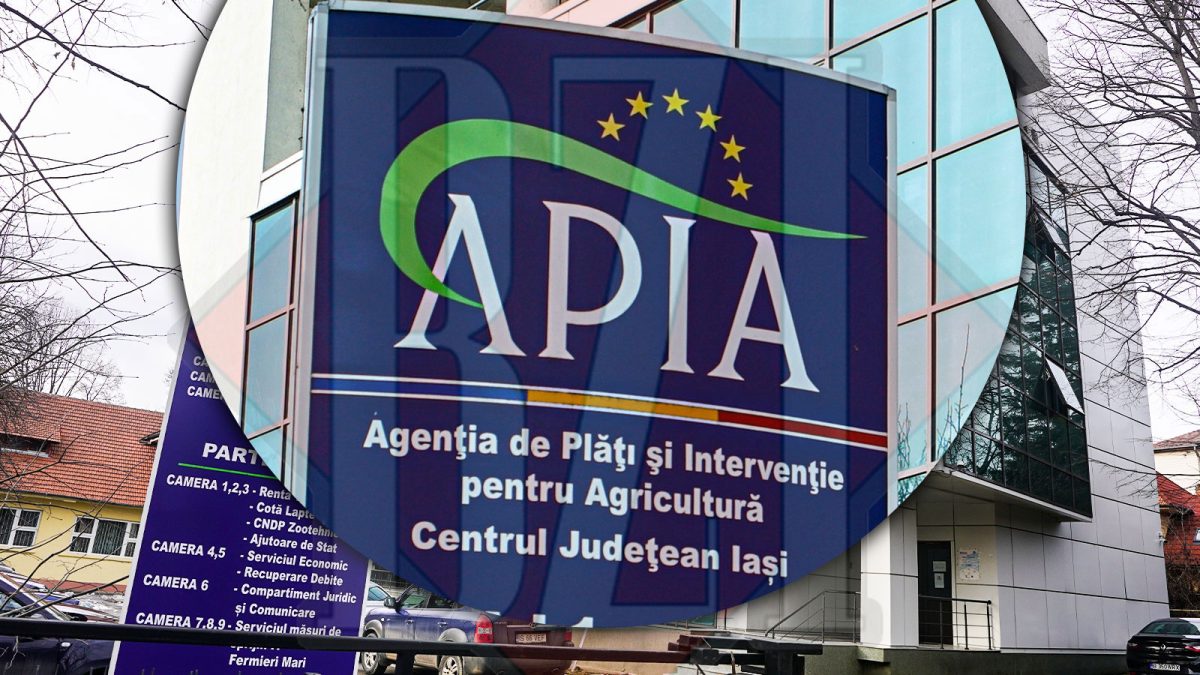 Fermierii din Iași sună aproape zilnic la APIA. Au nevoie de ajutoarele naționale tranzitorii și solicită grăbirea autorizării cererilor de plată
