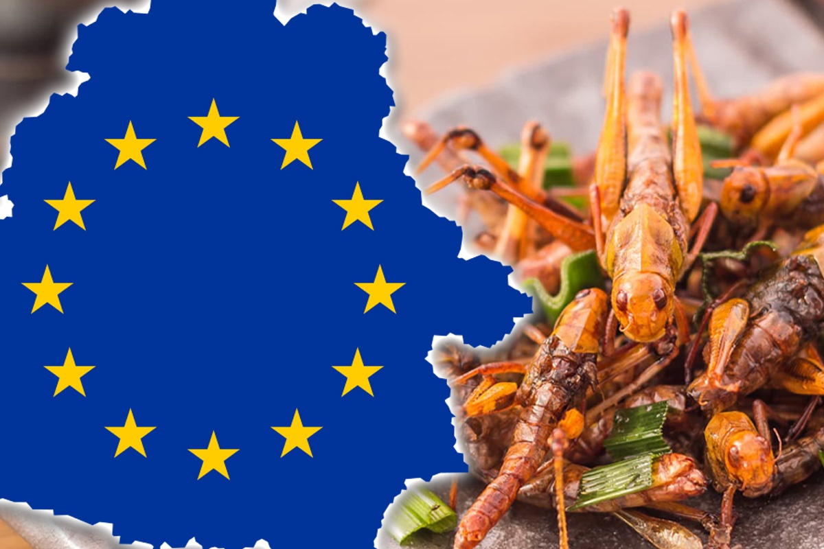 Proiect de ordin ANPC: Rafturi separate în magazine, cu panouri de informare clare pentru alimentele cu insecte  