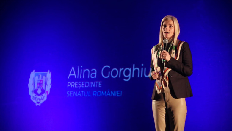 Partidul Național Liberal dorește comasarea alegerilor din anul 2024. Alina Gorghiu: „Nu poate fi un an total ratat”