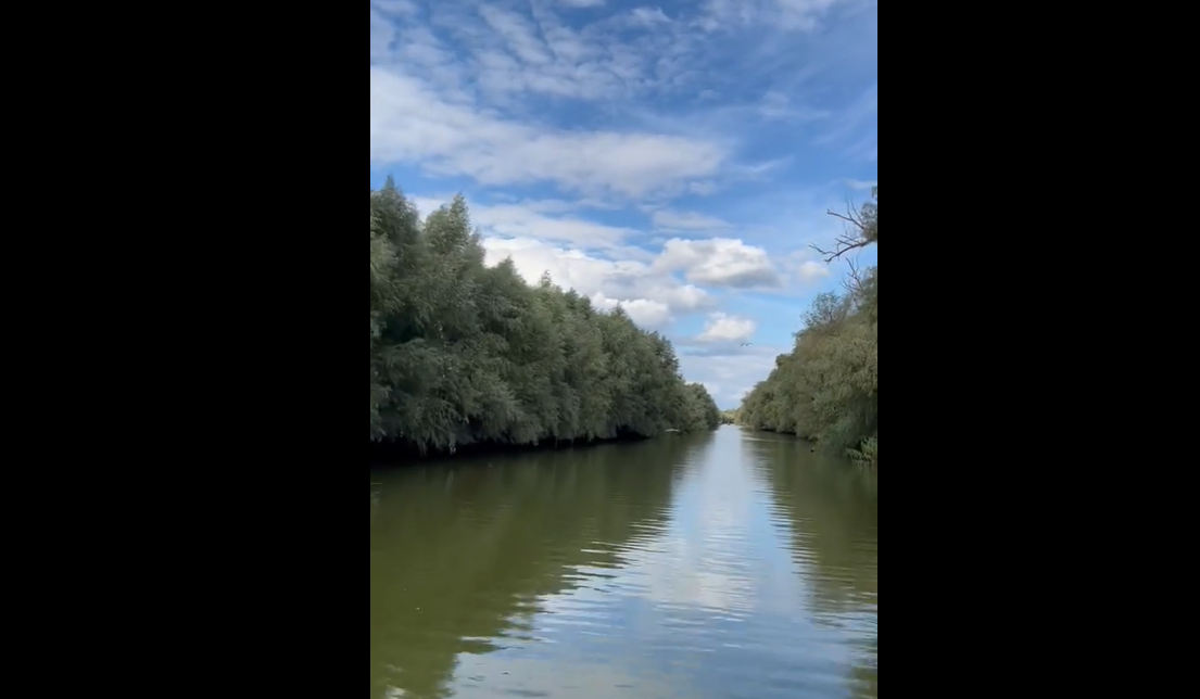 Laura Gherasim, o tânără din România, despre scandalul lucrărilor la Canalul Bâstroe: „Unde sunt acum ONG-urile?” – VIDEO