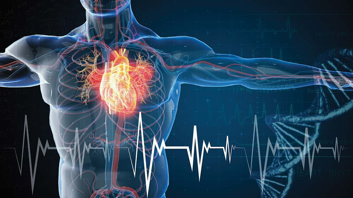 Fibroza cardiacă poate fi oprită! Cercetătorii americani au descoperit un nou mecanism