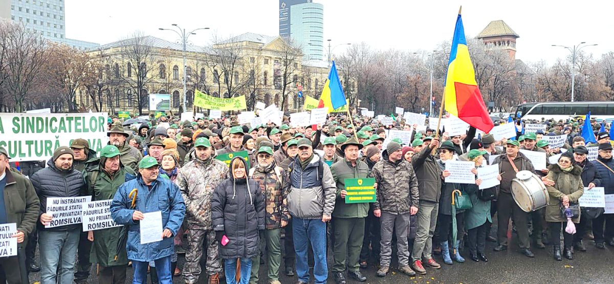 Protest masiv în fața Senatului. Sindicaliștii din silvicultură își vor striga, din nou, nemulțumirile