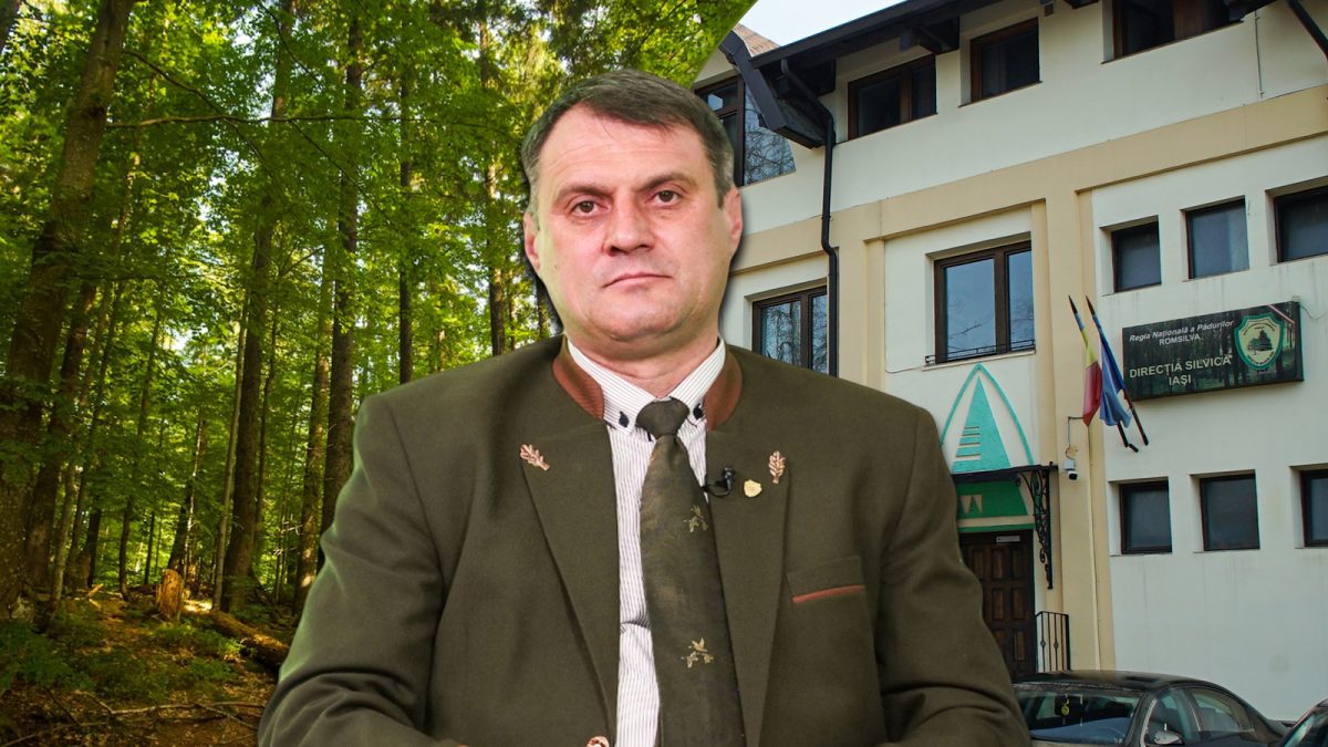 „Luna pădurii”, marcată la Iași printr-o campanie de împăduriri. „Este o ocazie de a ne întoarce la natură”