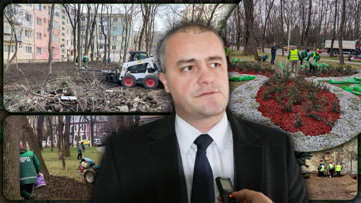 Orașul celor 1.500.000 de flori. Câți bani se vor cheltui cu amenajarea spațiilor verzi din Iași – FOTO