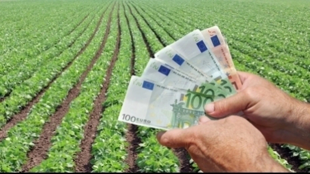 Vești bune pentru români! Pot beneficia de sume de sprijin financiar de cel mult 3.000 euro
