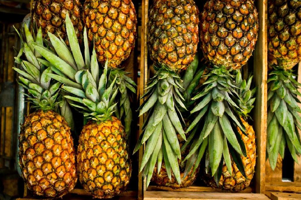 Oraşul din România în care se planta ananas în anii 1700. Fructul era întruchiparea bunului gust şi a plăcerilor culinare rafinate