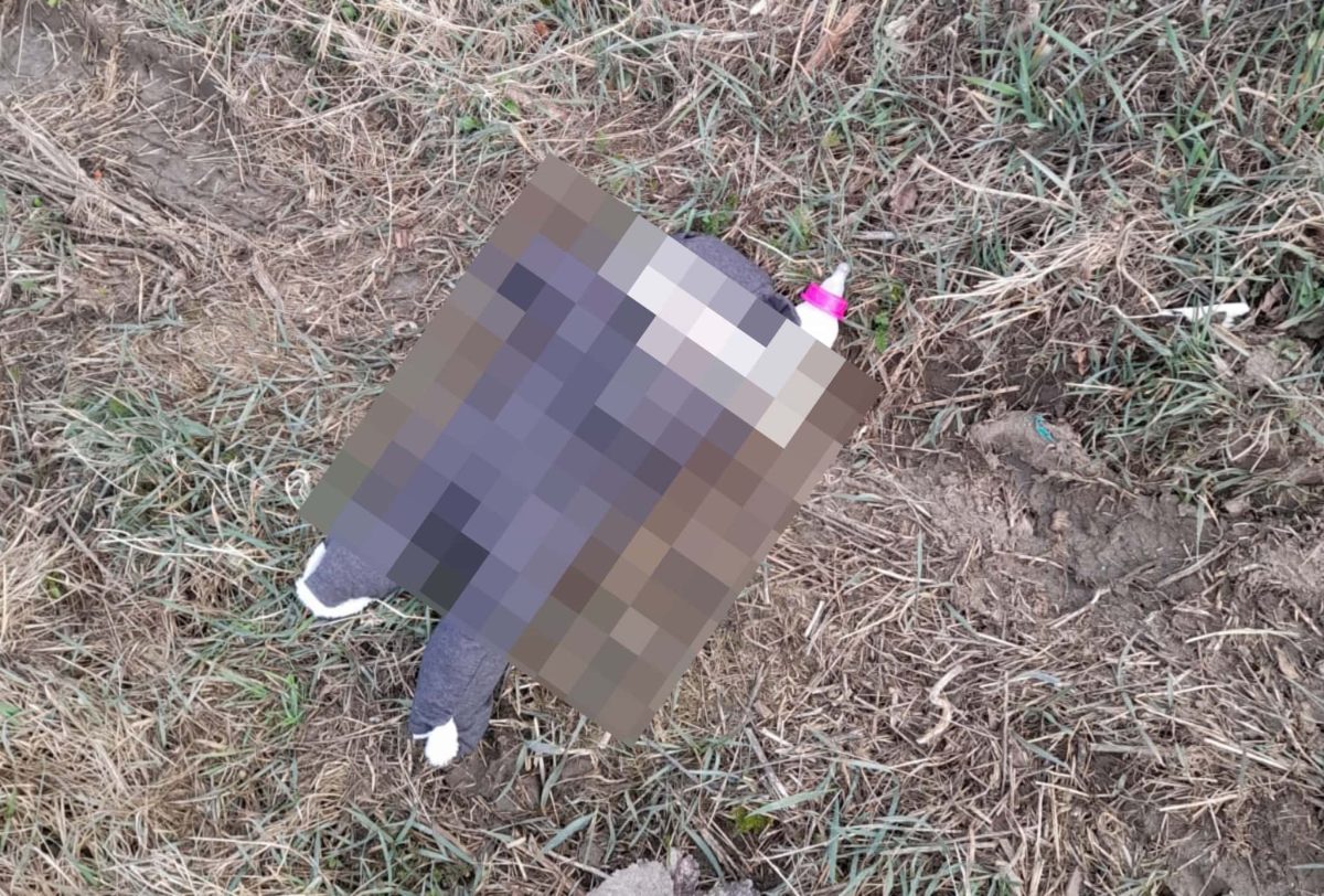 O tânără de 19 ani din Sibiu şi-a abandonat bebeluşul pe câmp, cu o sticlă de lapte lângă el – VIDEO