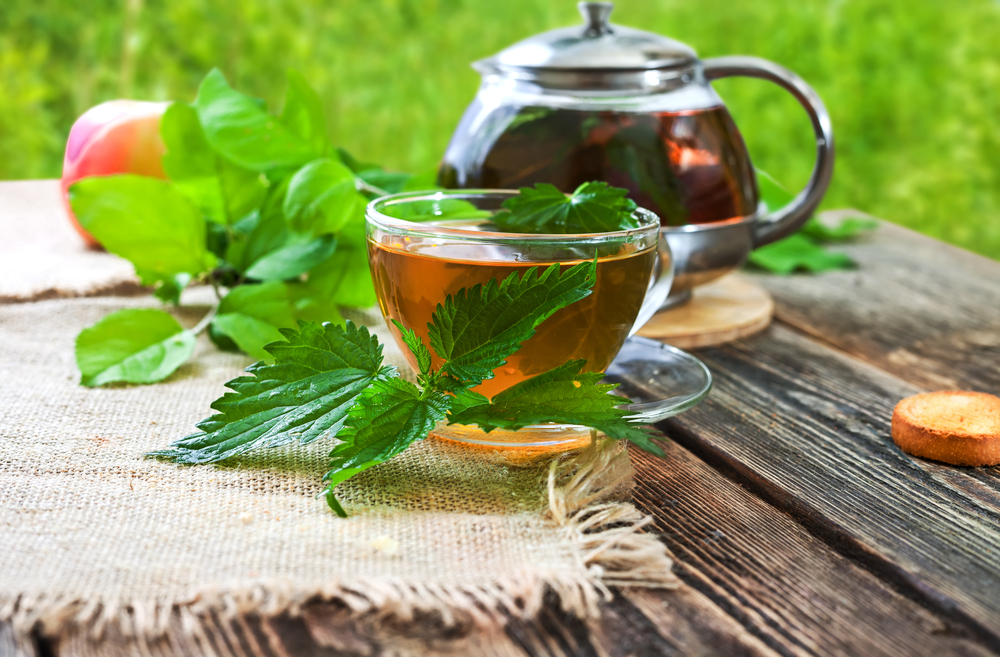 Ce boli tratează urzica. Cum să folosești corect această plantă cu efecte miraculoase