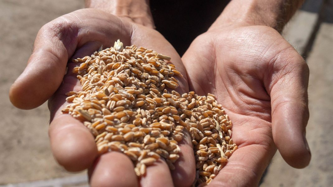 Rusia este de acord să prelungească acordul de cereale la Marea Neagră, în ciuda sancțiunilor