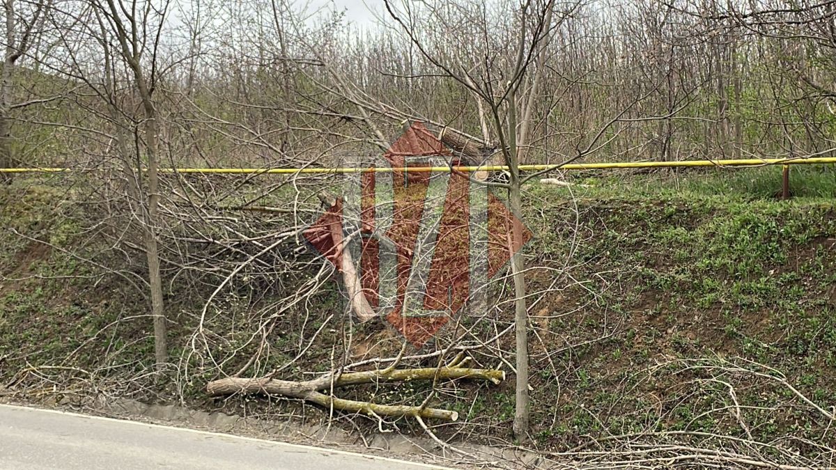 Copaci căzuți peste ţevi de gaz metan, în municipiul Iaşi. Pompierii intervin – UPDATE, FOTO