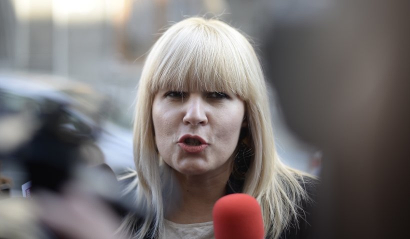Pedeapsa Elenei Udrea în dosarul ‘Gala Bute’, contestată din nou. Ce a transmis fostul ministru