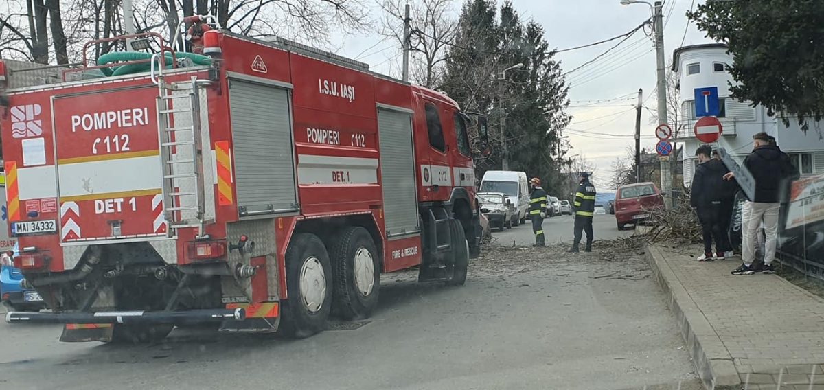 Incident în municipiul Iași. O mașină a fost avariată, după ce un copac s-a rupt – FOTO
