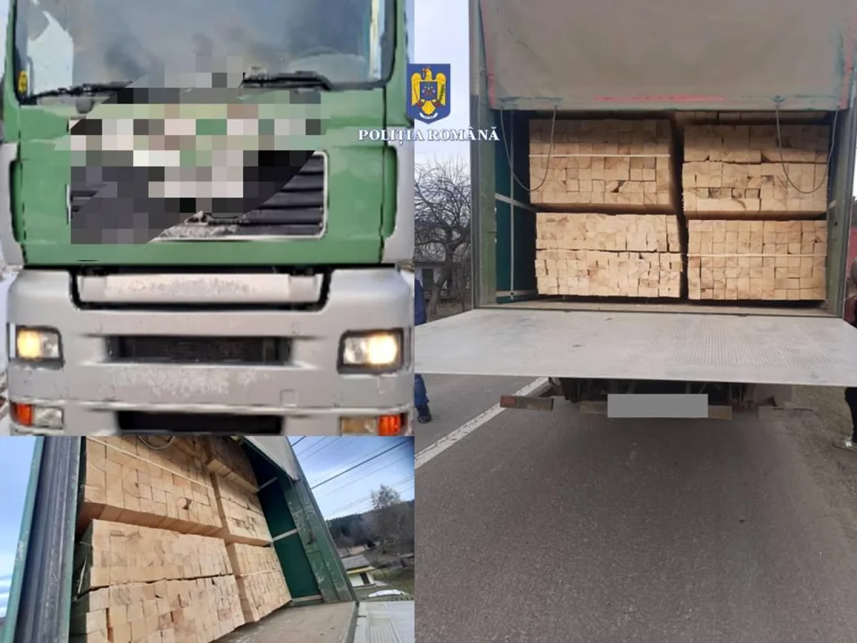 Lovitură pentru mafia lemnului. Transporturi ilegale interceptate de polițiștii suceveni și confiscări în valoare de peste 250.000 de lei