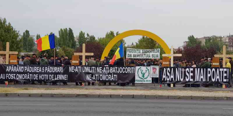 Cu ocazia Zilei Internaţionale a Pădurilor, silvicultorii vor protesta la Camera Deputaților