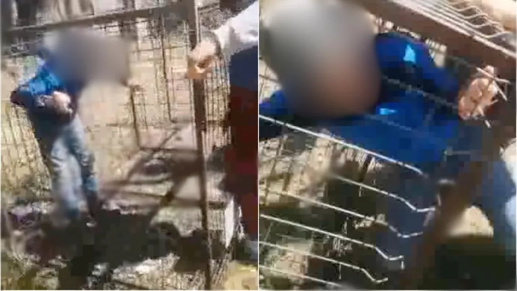 Un copil a fost băgat într-o cușcă metalică, la o școală din Bacău. Tatăl elevului acuză că Poliția nu a luat măsuri – VIDEO
