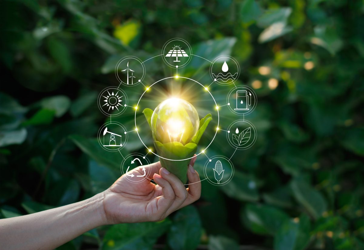 Topul celor mai eficiente 5 surse de energie verde pe care le poți utiliza
