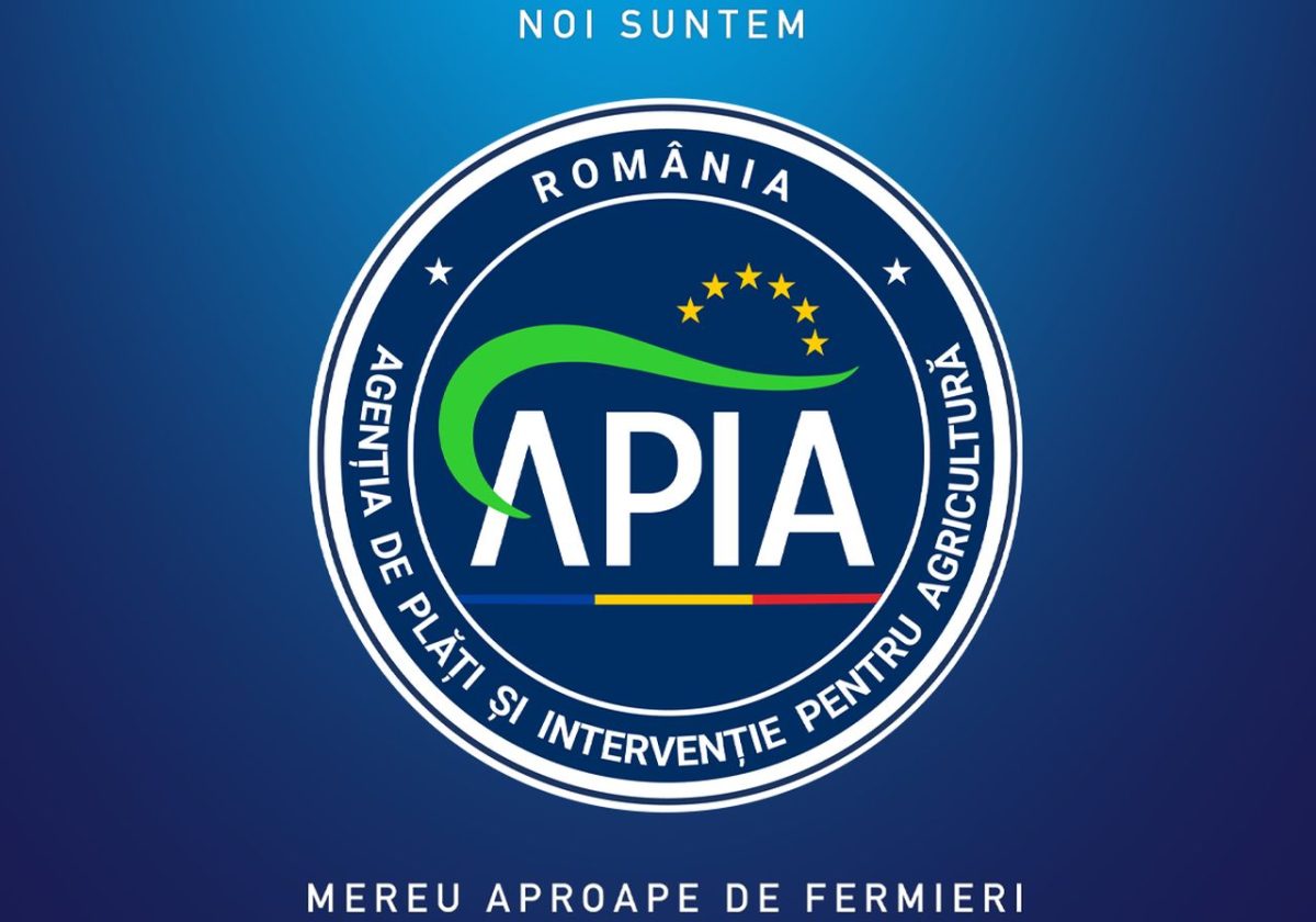 APIA primește Cereri de plată aferente anului 2023 pentru schema de ajutor de stat „Sprijin pentru prima împădurire și crearea de suprafețe împădurite”