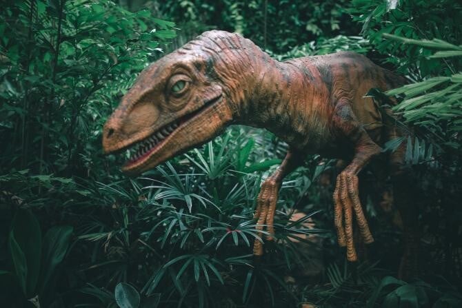 Cercetătorii au descoperit vene intacte de dinozaur, cu sânge pe ele, vechi de 80 de milioane de ani