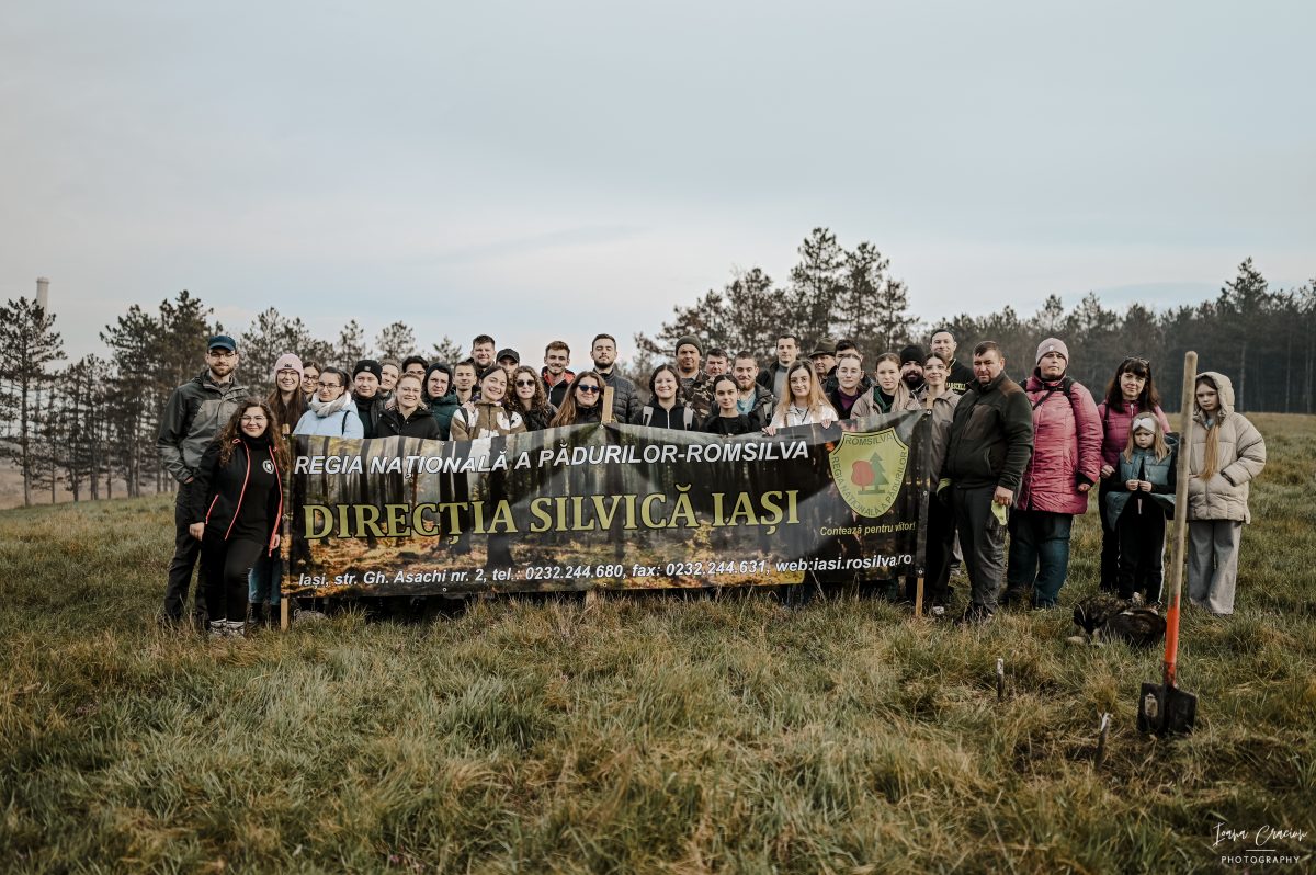 Tinerii din Iași au încheiat luna pentru viață printr-o activitate de împădurire