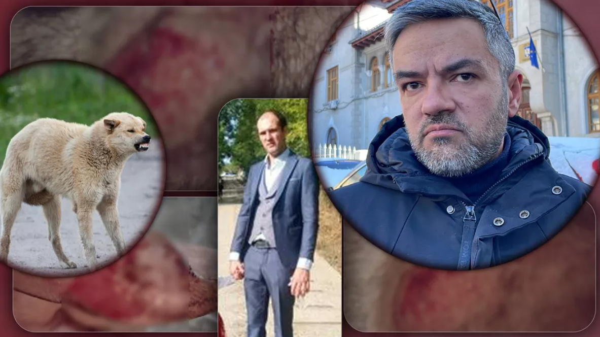 Poliția a amendat Primăria comunei Rediu după ce un bărbat a fost atacat de 9 câini maidanezi