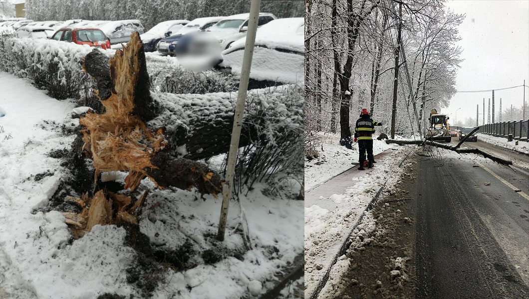 Pompierii intervin pe mai multe străzi din Iaşi pentru a degaja arborii căzuţi