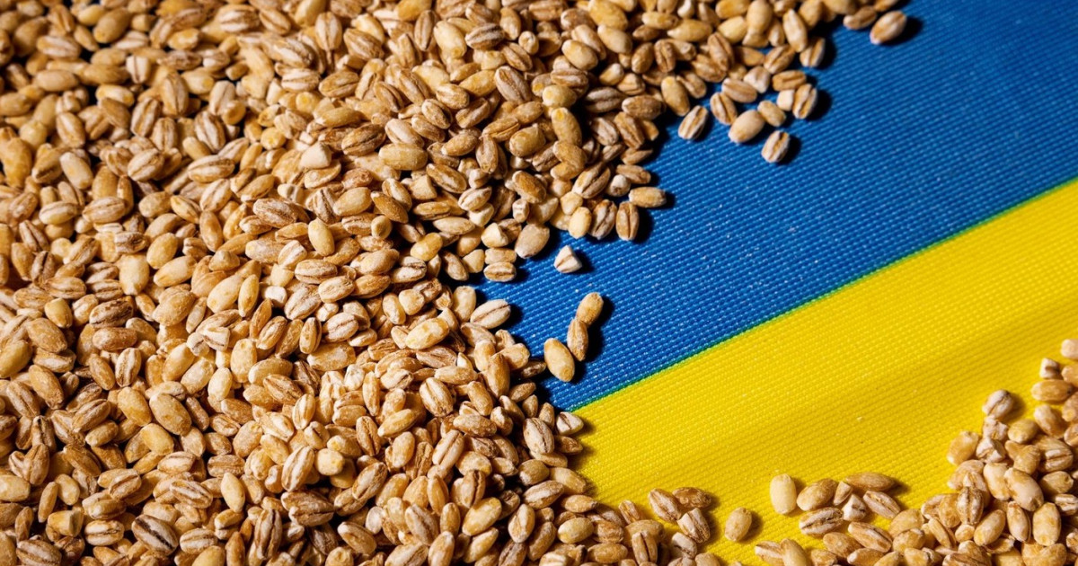 România și Ucraina vor începe negocierile pentru rezolvarea crizei cerealelor