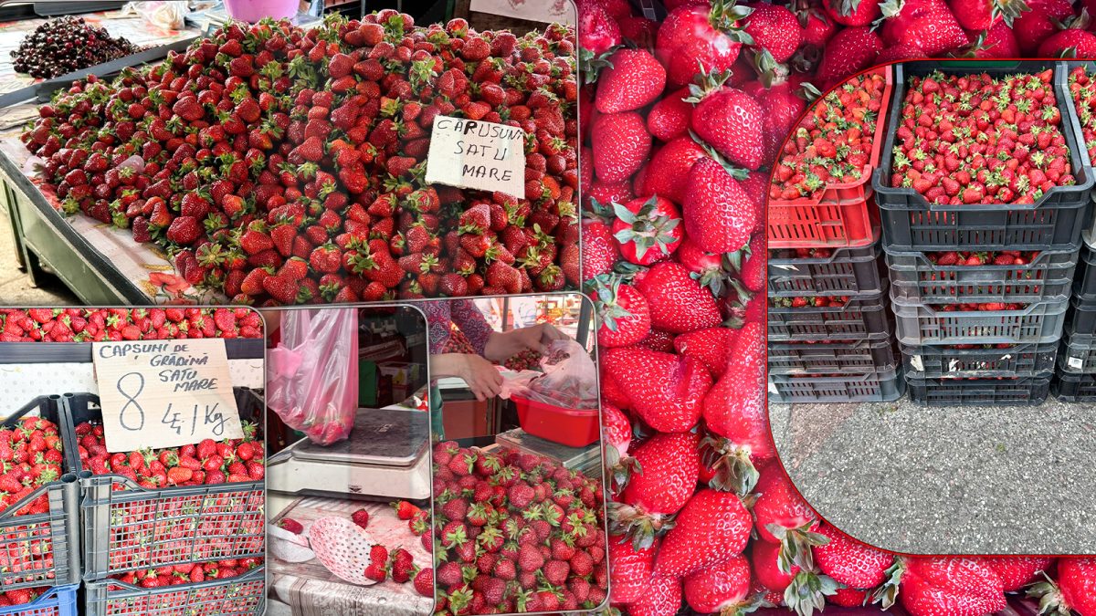 Pericolul din căpșunile din piețele ieșene! Clienții acuză comercianții că folosesc substanțe dăunătoare. „Mi-a crăpat limba după ce le-am consumat” – FOTO